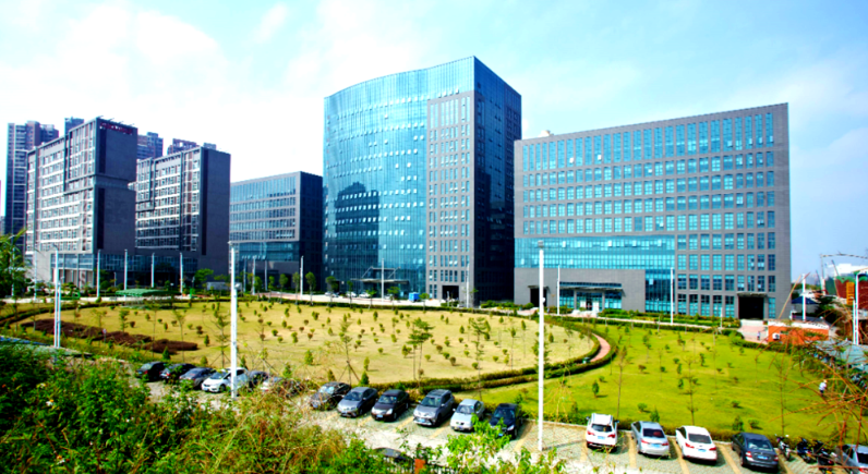 海口阳米网络科技小程序开发与官网建设服务优势解析